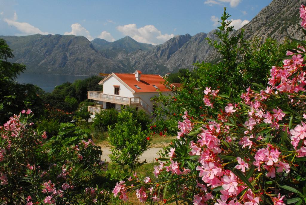 Apartments Blue Lagoon Kotor Kültér fotó